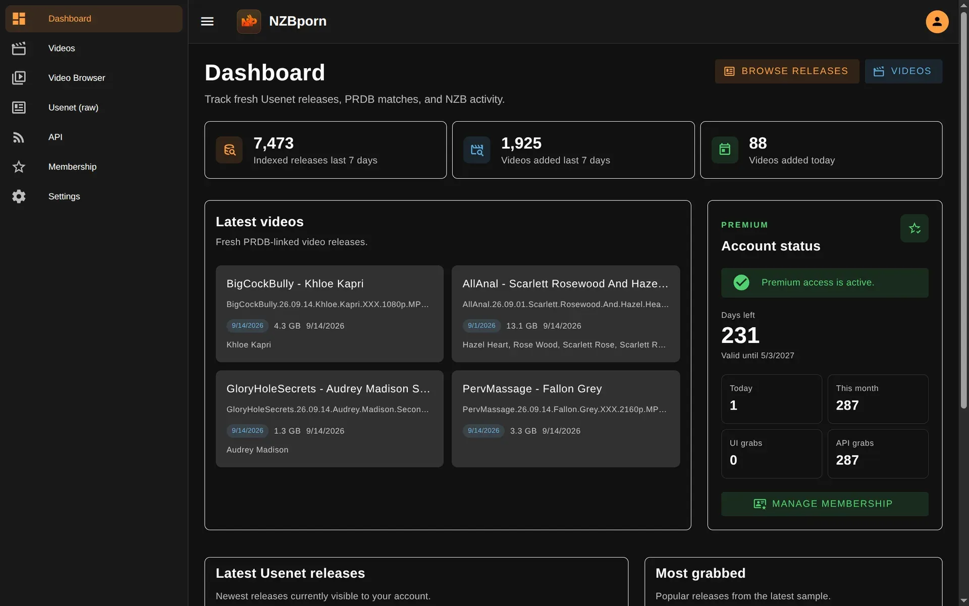 NZBporn dashboard with indexing stats and the latest PRDB-linked video releases